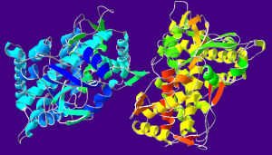 CytP450Oxidase-1OG2
