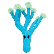 Giant-Microbes-Penicillin_